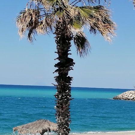 Eneide Bed & Breakfast Palmi Exterior photo